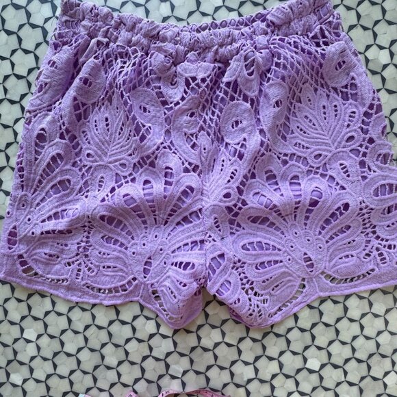 Lavender Lace 2-Piece Set With Back Zipper Top & Shorts NWT ADD CONFDT Size L - Picture 7 of 12
